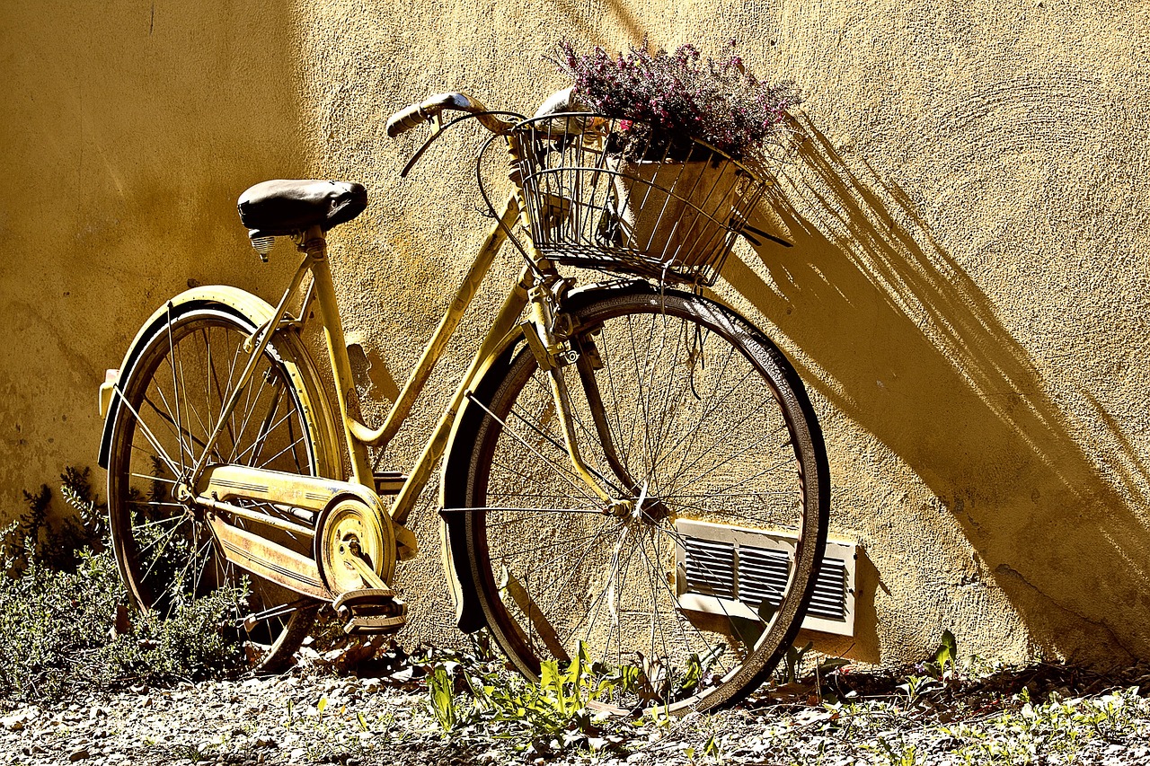 bike, bicycle, wheels, bicycle wheels, basket, flowers, nature, old bike, vehicle, transportation, yellow bike, yellow bicycle, bike, flower wallpaper, bike, bike, bike, bicycle, bicycle, beautiful flowers, bicycle, bicycle, flower background, bicycle