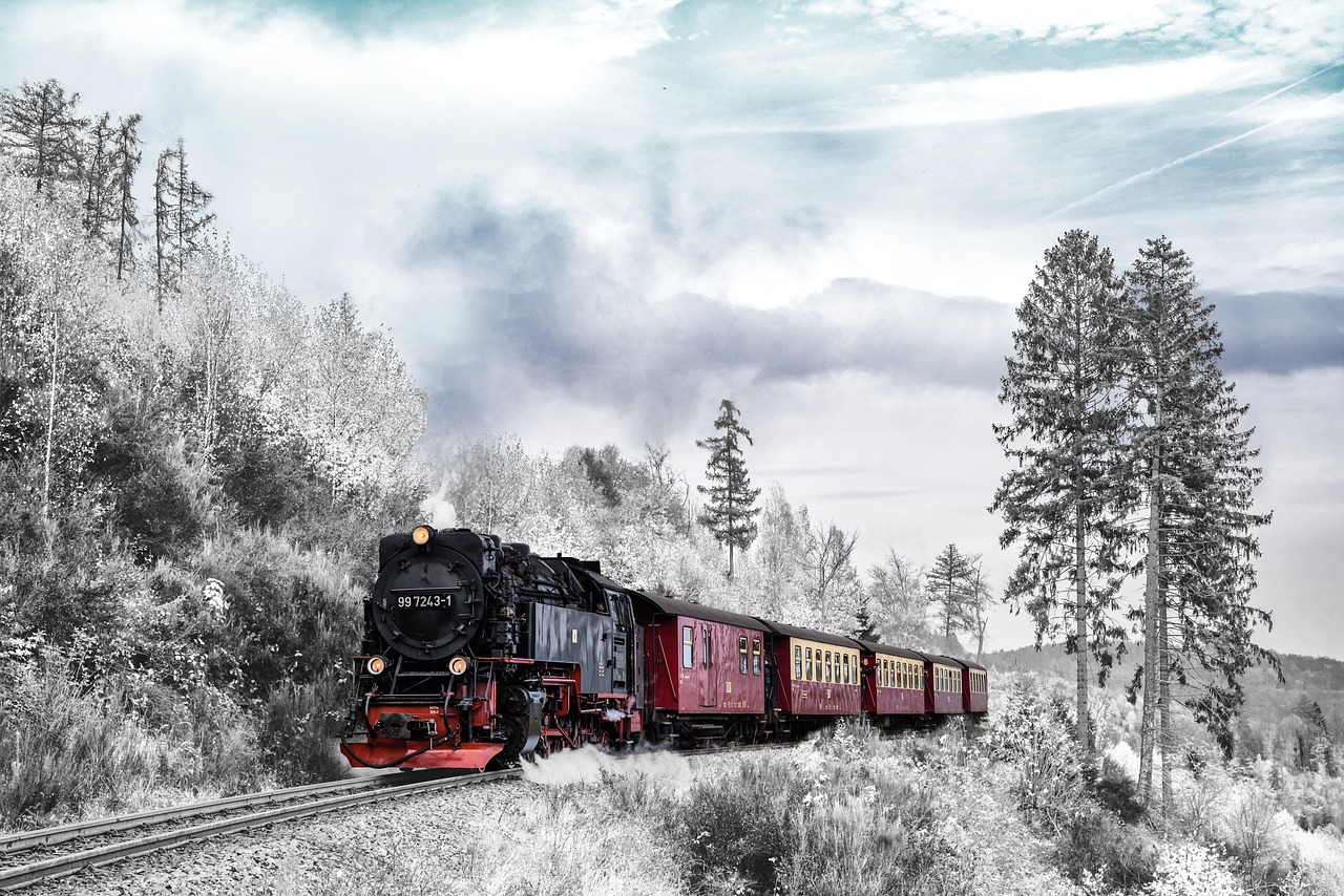 train, transportation, winter, season, landscape, nature, travel, adventure, train, train, train, train, train, winter, winter, winter, winter, travel, travel